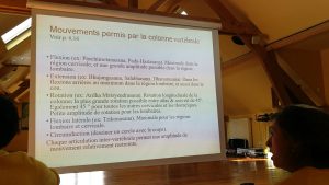 photo prise durant l'un des cours d'anatomie d'un tableau expliquant les mouvements permis par la colonne vertébrale